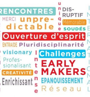 Nuage mots Mastères Spécialisés