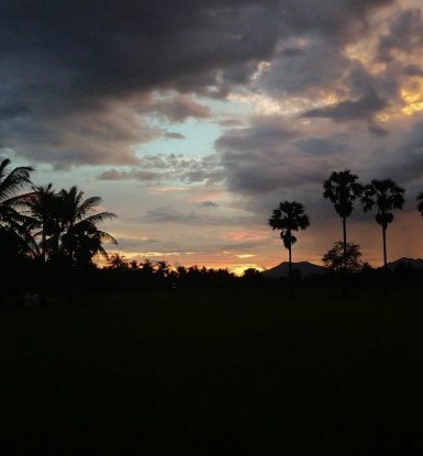 Cambodge paysage