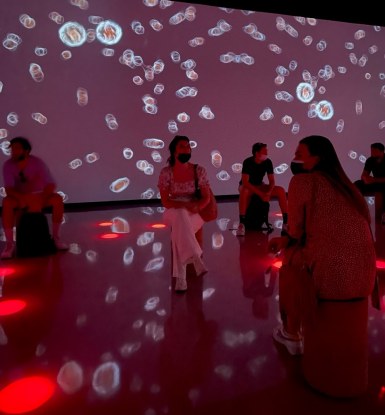 Visite de l’exposition 2020 du Dubaï afin de découvrir les compétences et réalisations de chaque pays, en termes d’innovation.