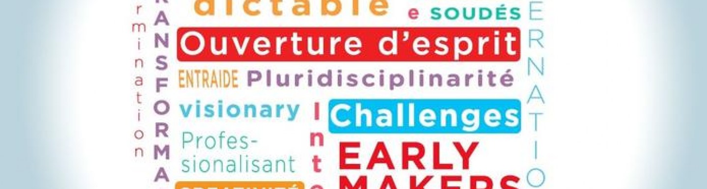 Nuage mots Mastères Spécialisés