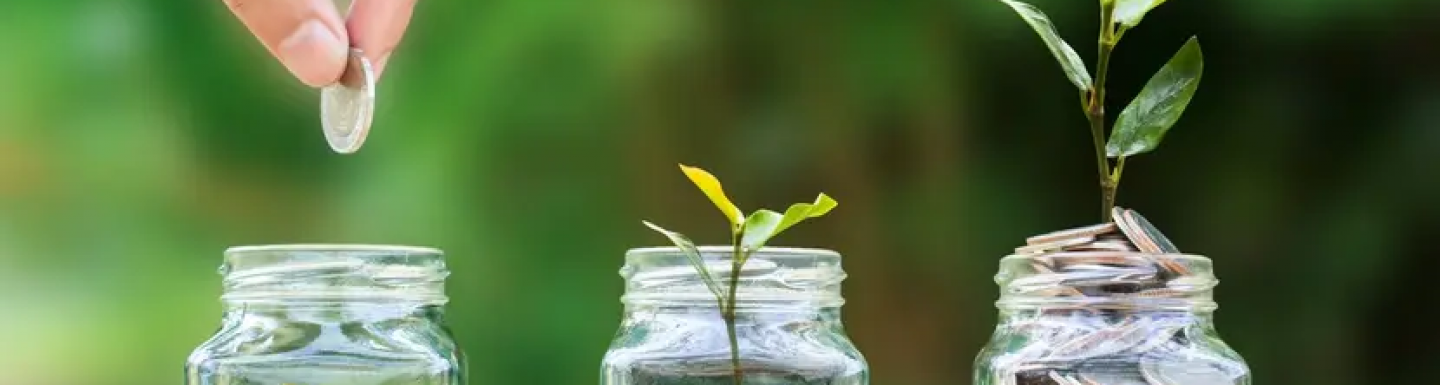 La finance au service de la transition écologique