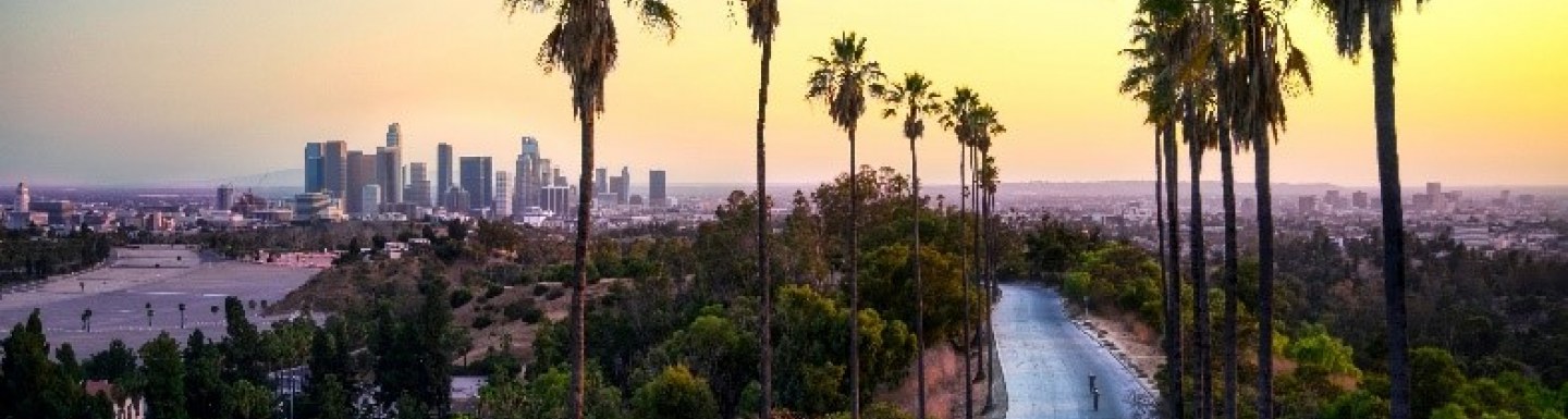 This year's emlyon Hospitality Week takes place in Los Angeles, USA.