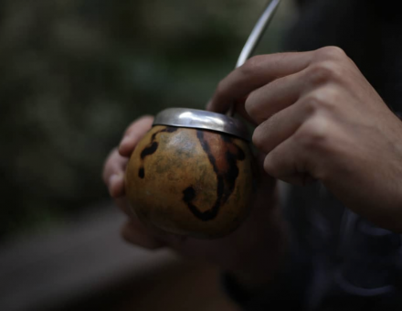 Maté