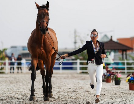 Chiara, views the current situation presented by equestrian and the Olympic Games as one that needs to be adressed ethically as well as financially.