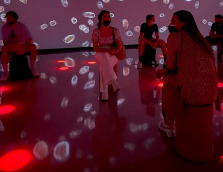 Visite de l’exposition 2020 du Dubaï afin de découvrir les compétences et réalisations de chaque pays, en termes d’innovation.