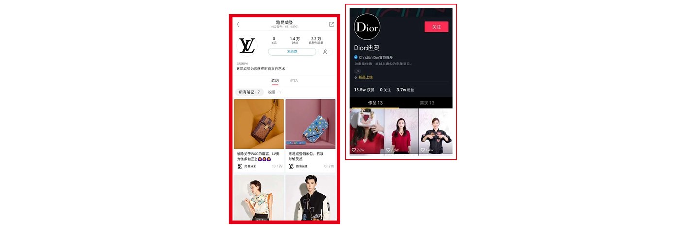Dior & YSL